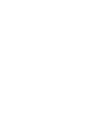 Blitz-Icon für Dachschutz und Energieeffizienz Blitz-Icon umgeben von einem unvollständigen Kreis
